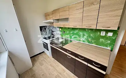 Pronájem bytu 1+1 39 m², Zborovská, Zlín - Příluky