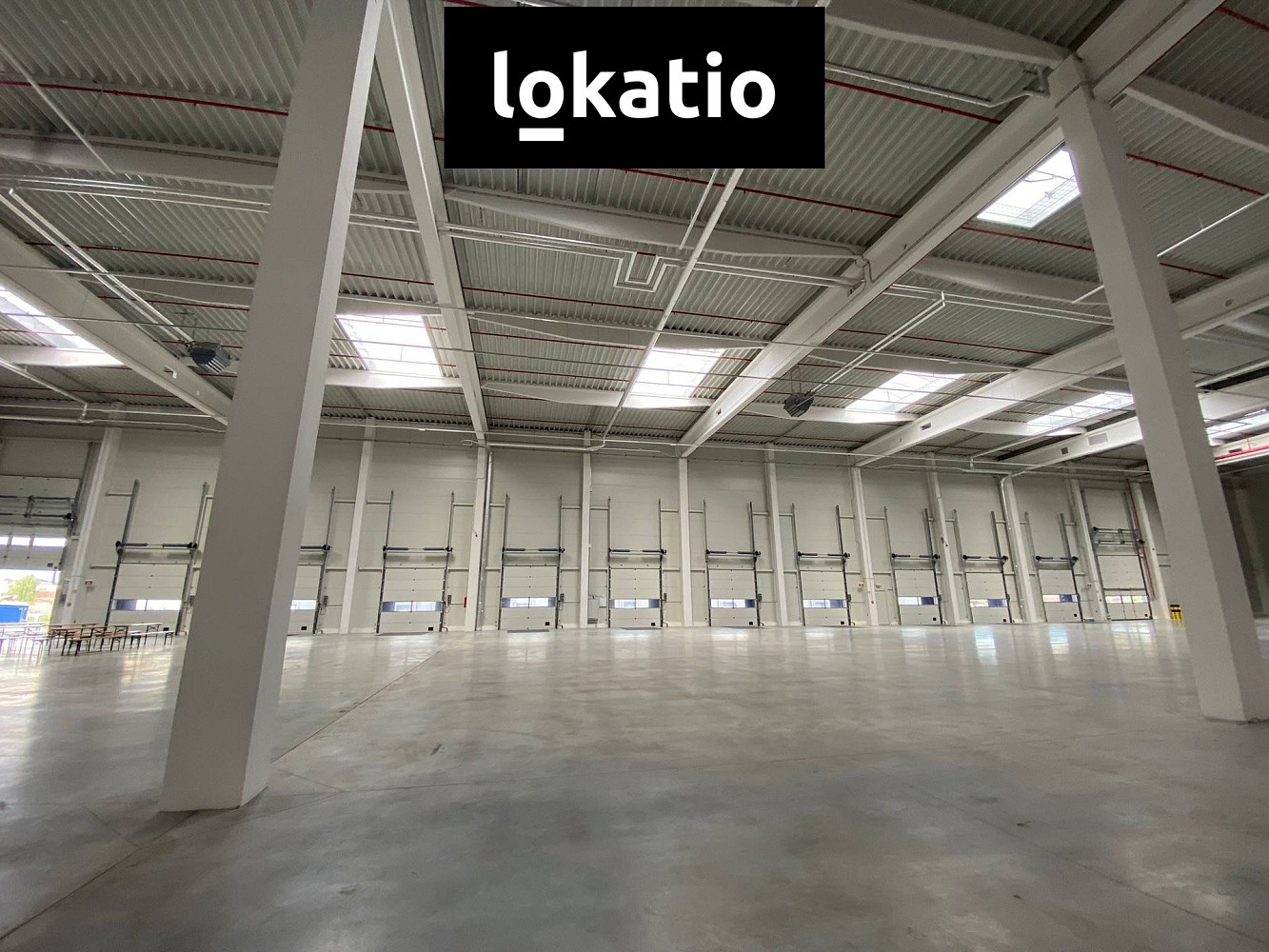Pronájem skladovacích prostor 4 323 m² — photo 4