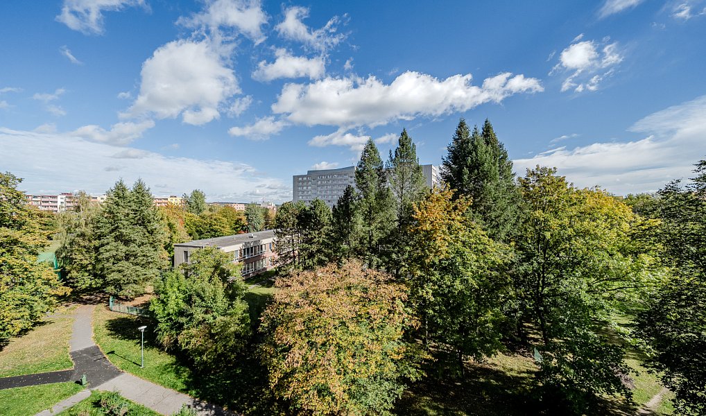 Pronájem bytu 3+kk 64 m², Ostrava – náhled fotky 10