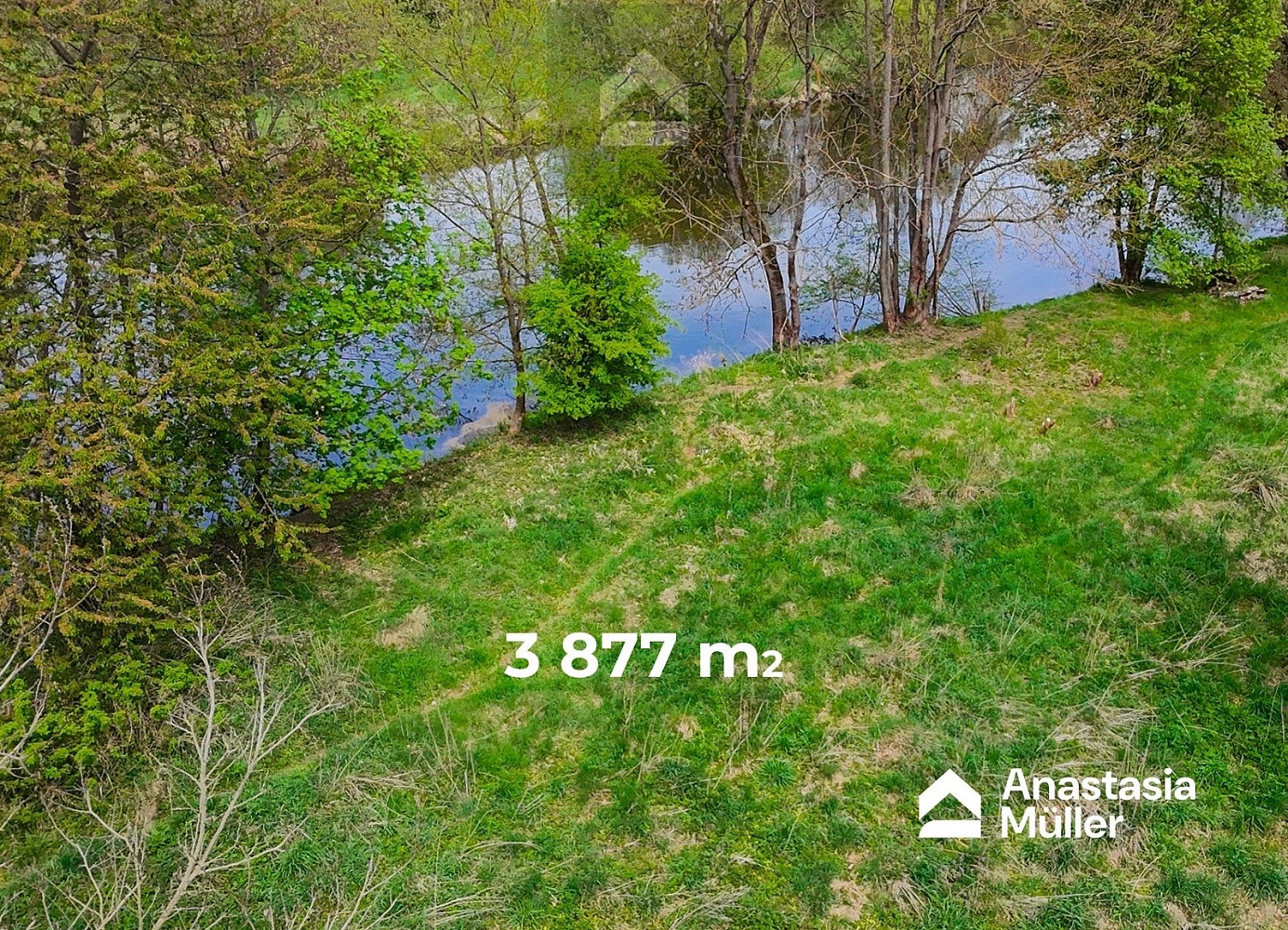 Pronájem pozemku 3 877 m² — photo 4