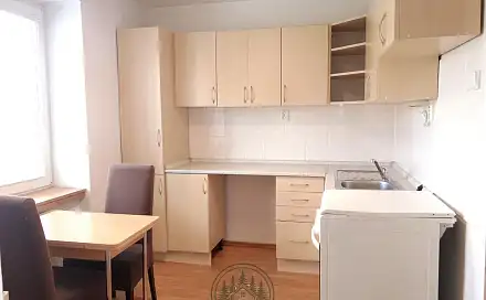 Pronájem bytu 1+1 28 m², Karla Čapka, Sokolov