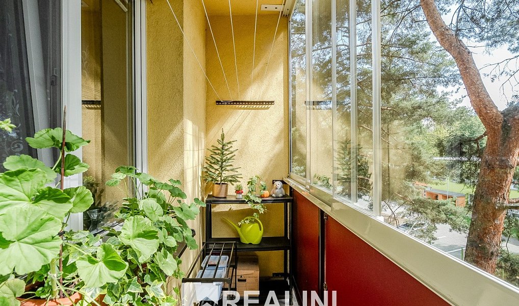 Prodej bytu 2+1 56 m², Karviná – náhled fotky 18