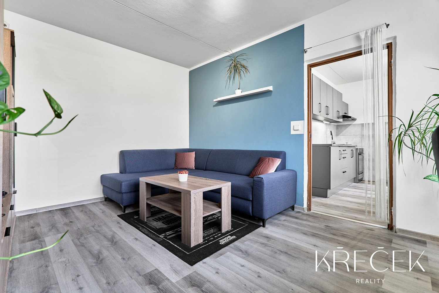 Pronájem bytu 2+1 50 m² — photo 3