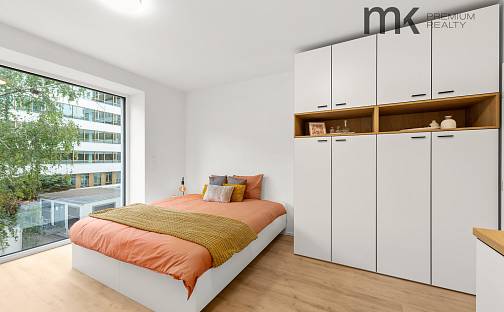 Pronájem bytu 1+kk 26 m², Na bitevní pláni, Praha 4 - Nusle