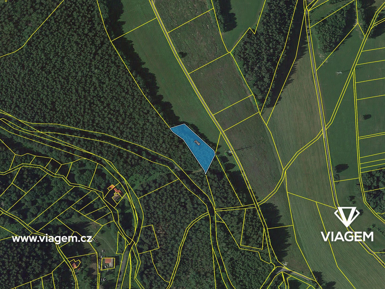 Prodej lesa 2 217 m² – fotografie 4