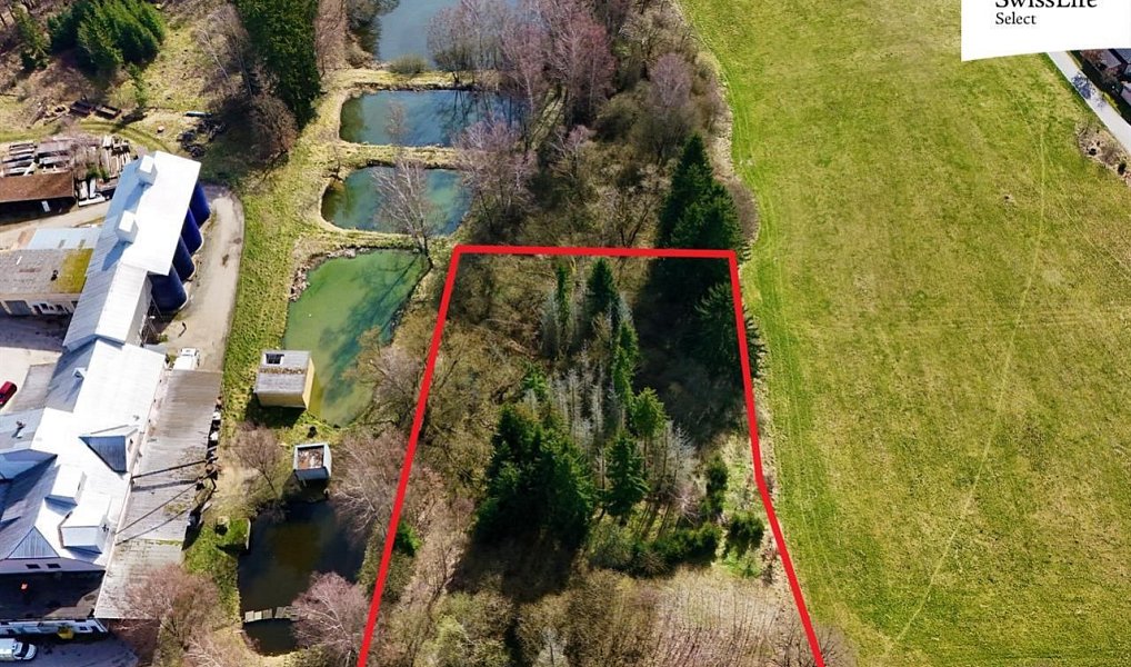 Prodej lesa 4 442 m², Rodvínov – náhled fotky 2