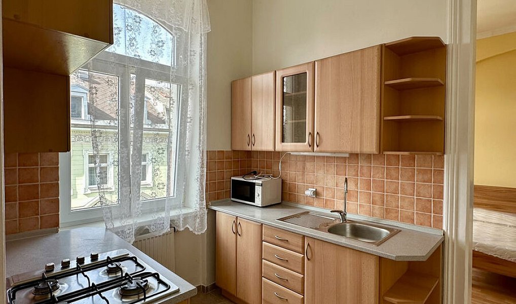Pronájem bytu 2+1 74 m², Karlovy Vary – náhled fotky 7