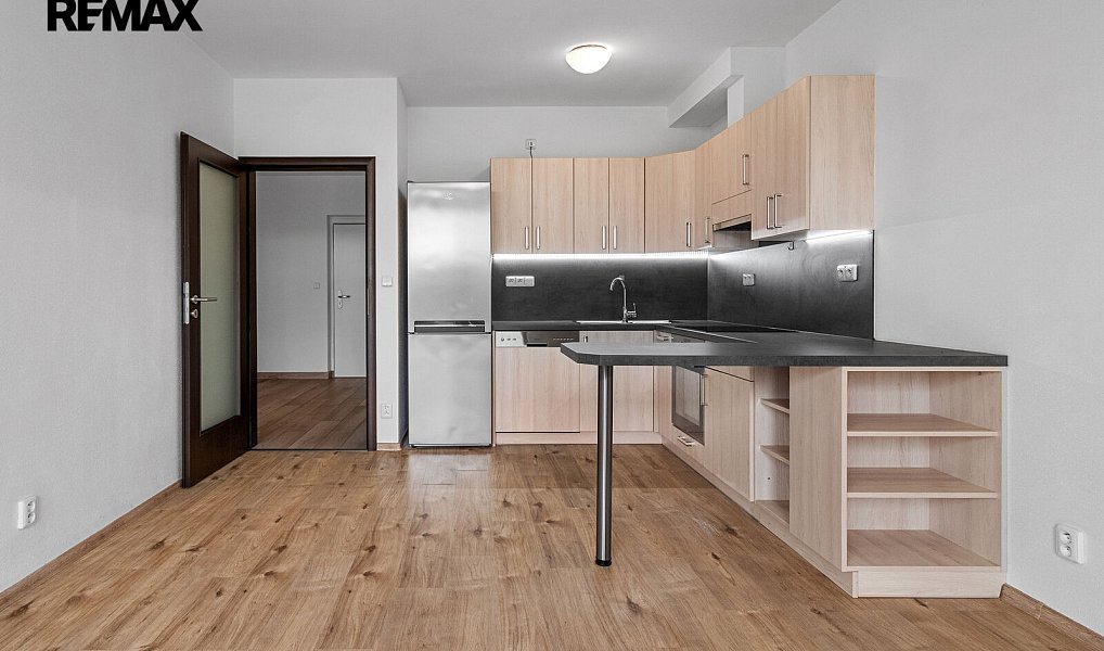 Pronájem bytu 2+kk 55 m², Plzeň – náhled fotky 11