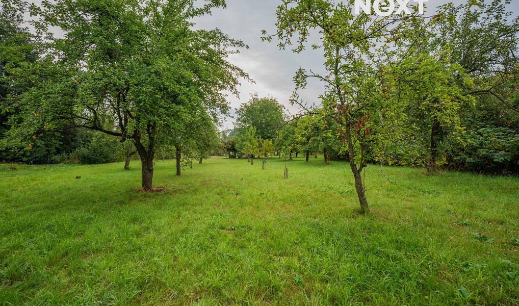 Prodej stavebního pozemku 3 456 m², Loštice – náhled fotky 12