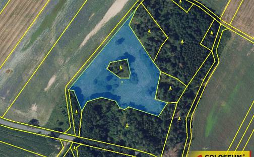 Prodej pole 14 686 m², Brodek u Konice, okres Prostějov