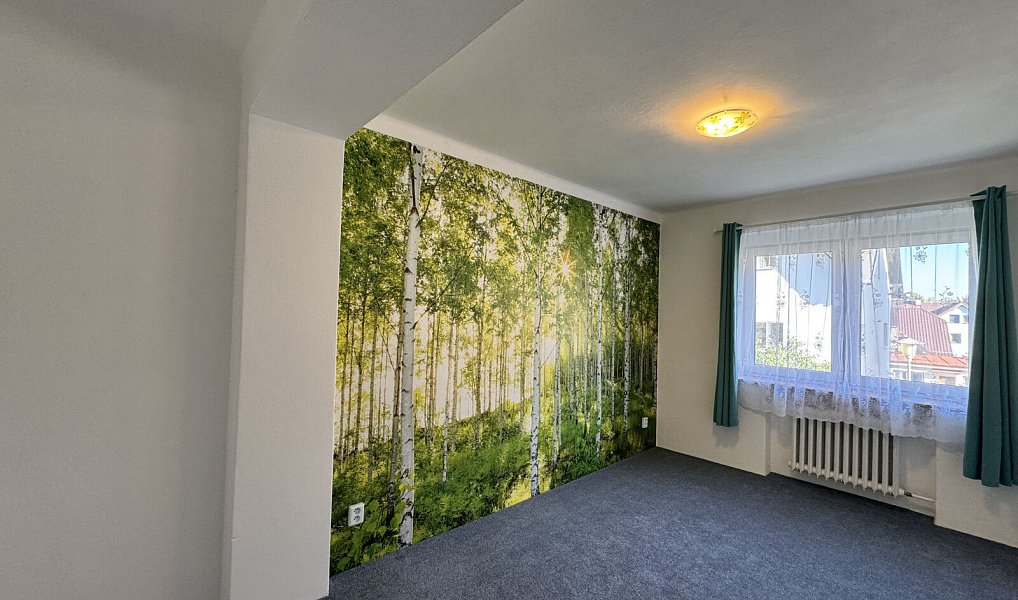 Pronájem domu 97 m² s pozemkem 93 m², Nová Paka – náhled fotky 8