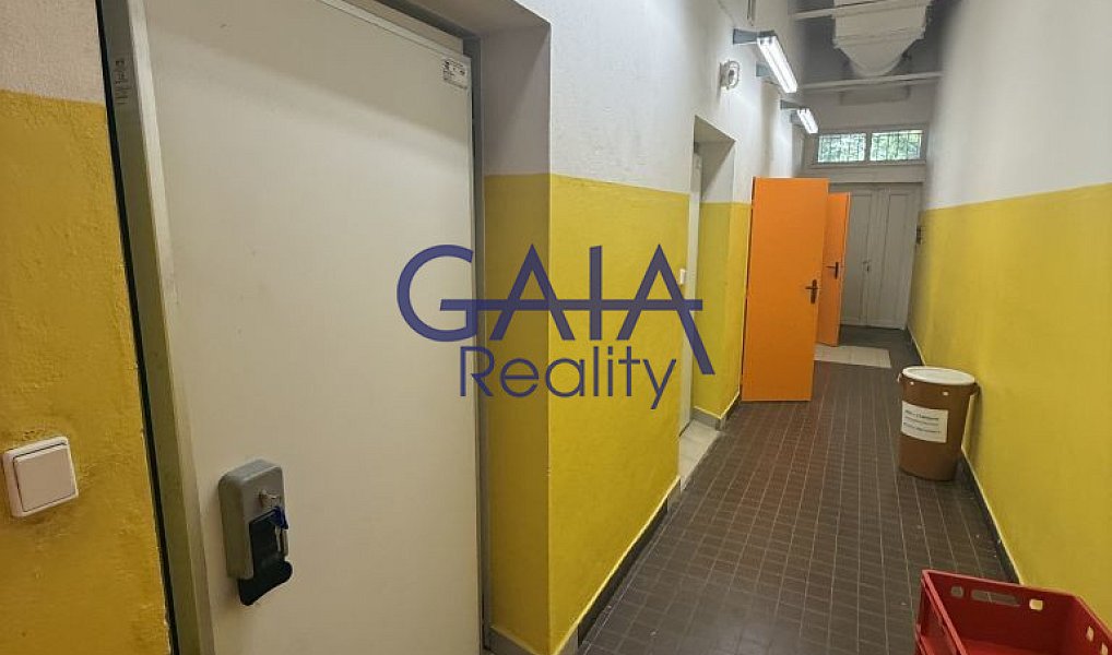 Prodej obchodních prostor 600 m², Dačice – náhled fotky 12