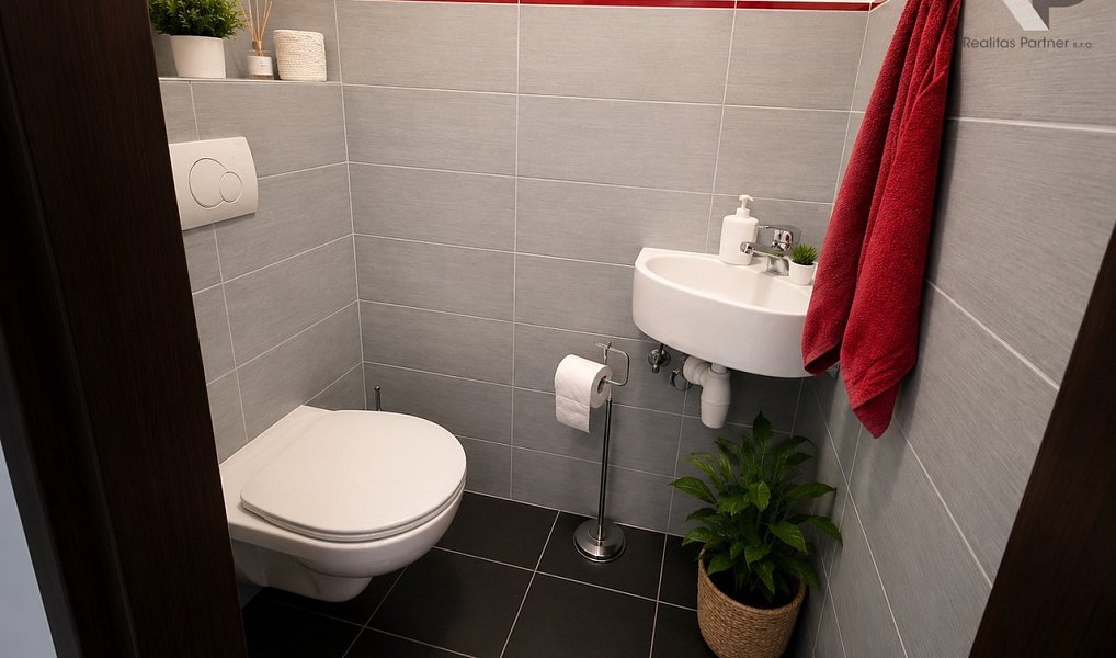 Prodej domu 319 m² s pozemkem 1 006 m², Dobronín – náhled fotky 20
