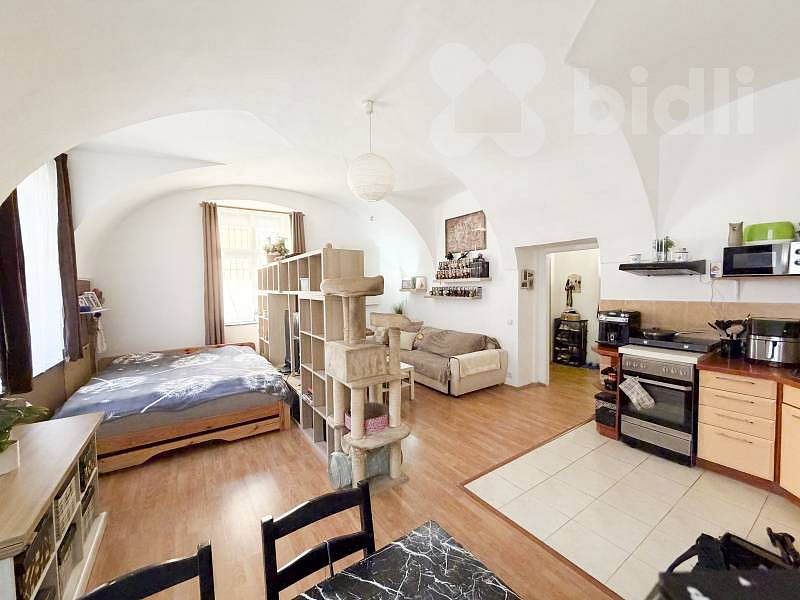 Prodej bytu 1+kk 63 m² – fotografie 4
