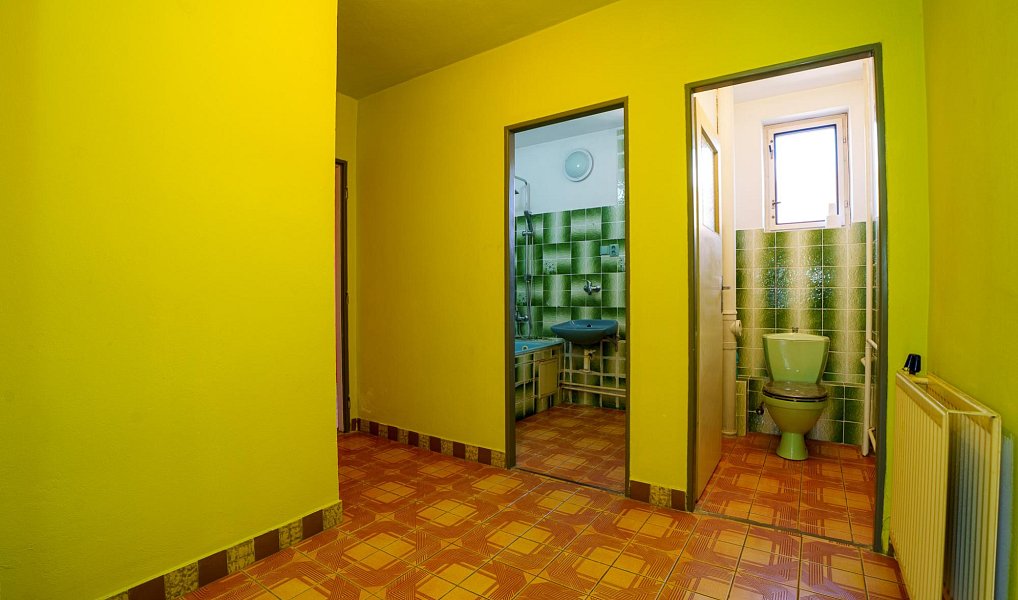 Prodej domu 186 m² s pozemkem 177 m², Pracejovice – náhled fotky 16