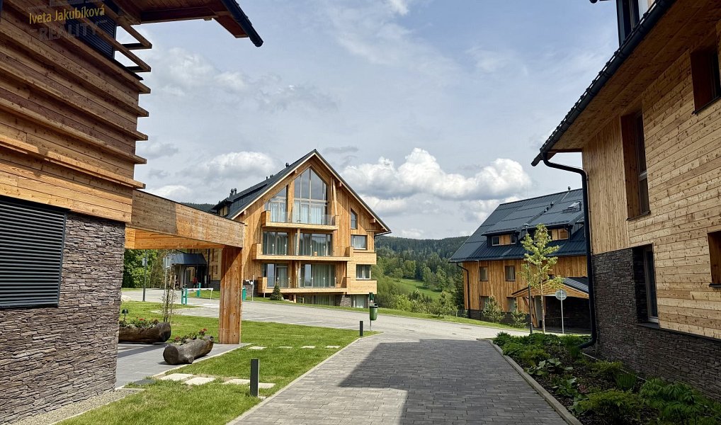 Prodej bytu 1+kk 56 m², Vítkovice – náhled fotky 26