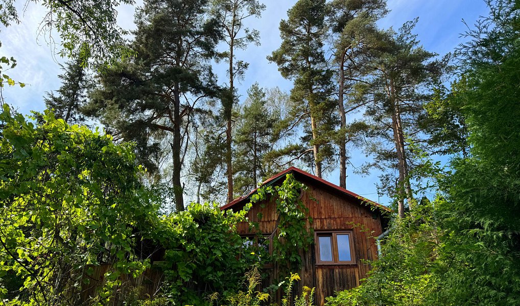 Prodej chaty/chalupy 48 m² s pozemkem 829 m², Kestřany – náhled fotky 5