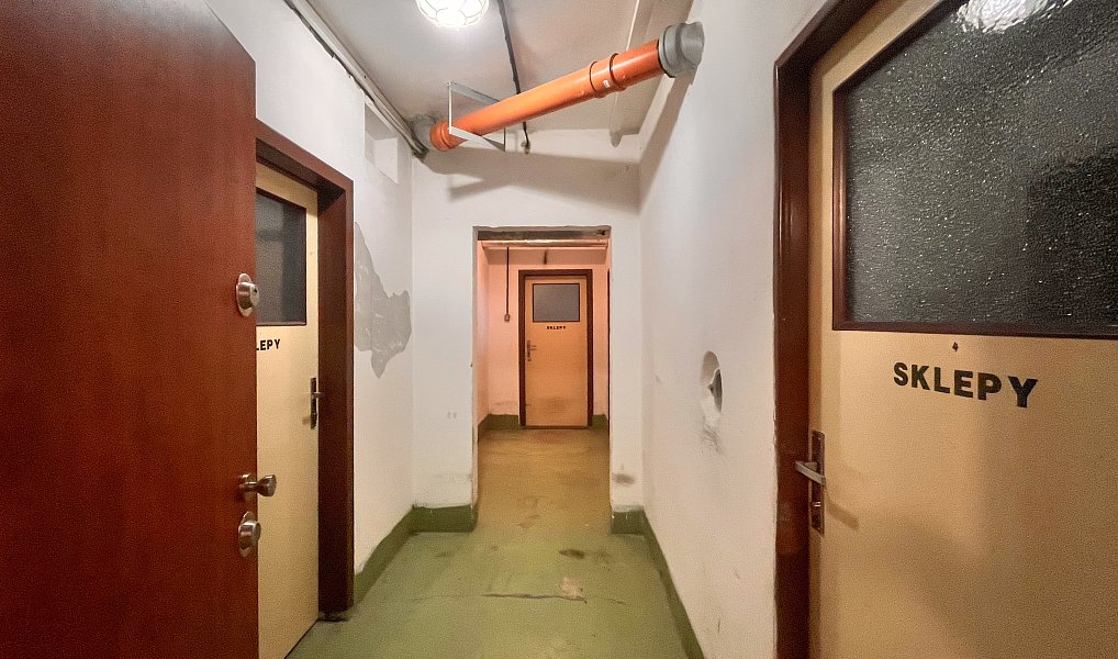 Prodej bytu 2+1 55 m², Mladá Boleslav – náhled fotky 18