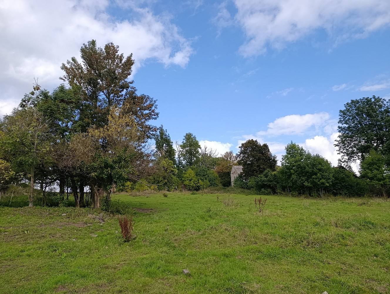 Prodej stavebního pozemku 3 539 m² – fotografie 5