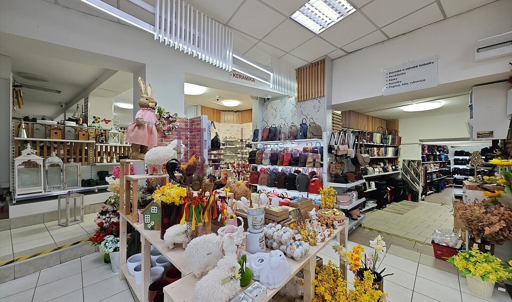 Prodej obchodních prostor 320 m², Jindřichův Hradec – náhled fotky 4