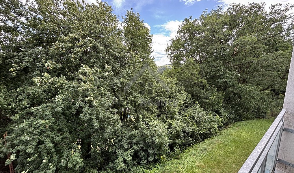 Prodej bytu 3+1 85 m², Benešov nad Černou – náhled fotky 12