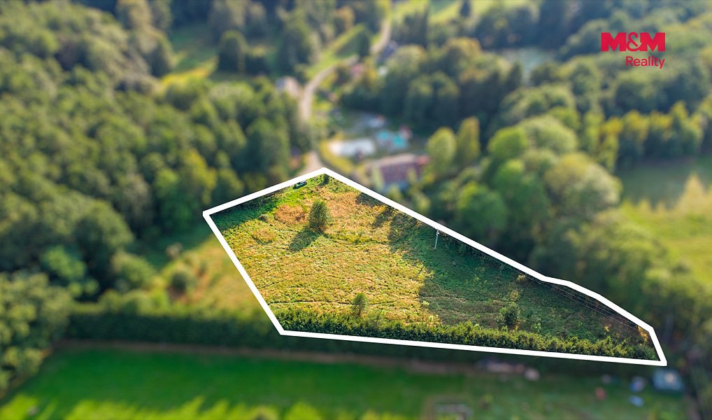 Prodej louky 5 500 m², Nový Bor – náhled fotky 3