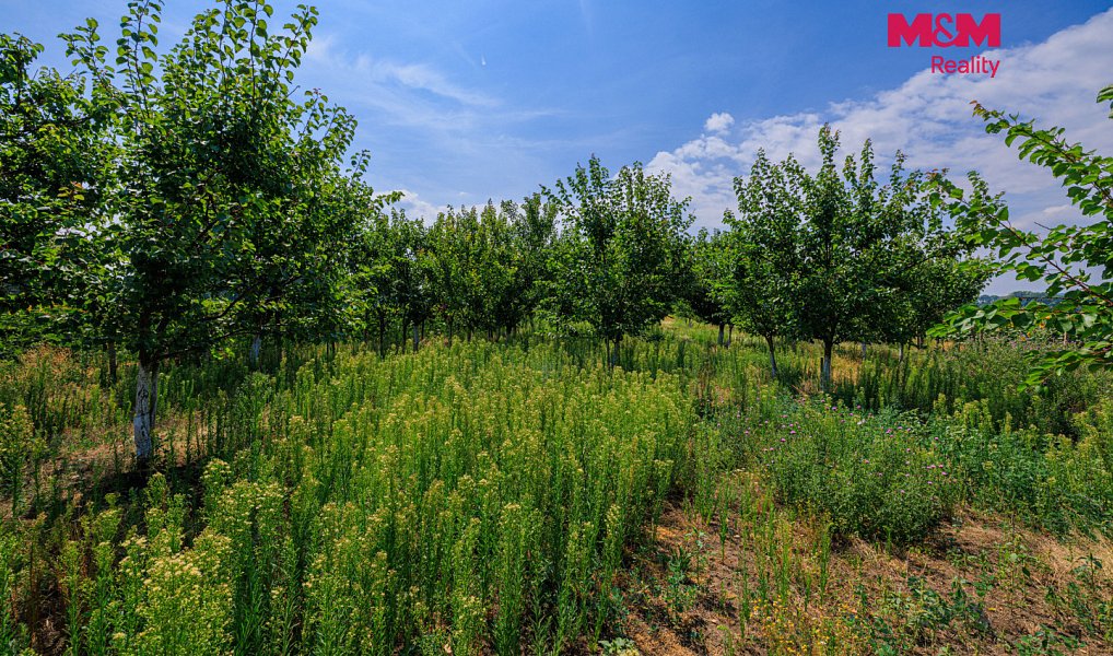 Prodej pole 14 490 m², Zaječí – náhled fotky 5