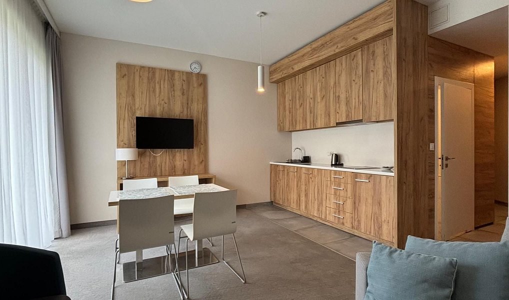 Prodej bytu 2+kk 44 m², Dolní Morava – náhled fotky 4