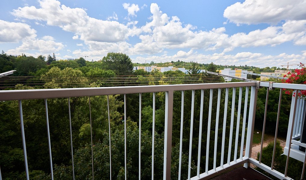 Prodej bytu 2+1 55 m², Brno – náhled fotky 3