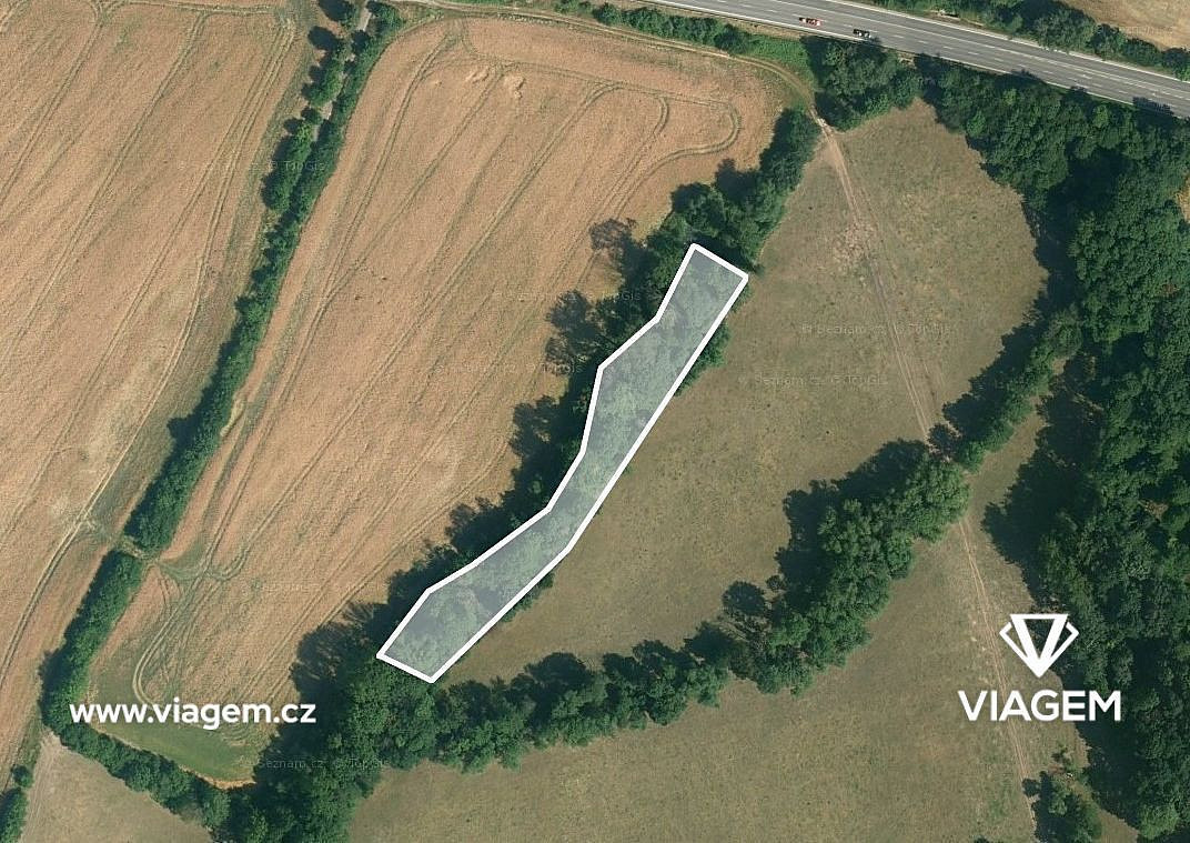 Prodej lesa 1 141 m²
