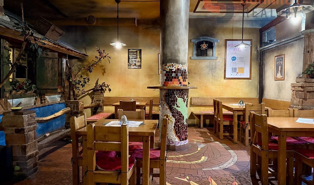 Pronájem obchodních prostor 350 m², Břeclav – náhled fotky 8