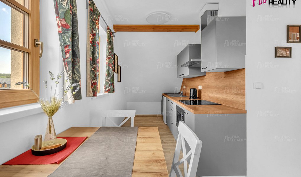 Prodej ubytovacího objektu 184 m², Orlické Záhoří – náhled fotky 15