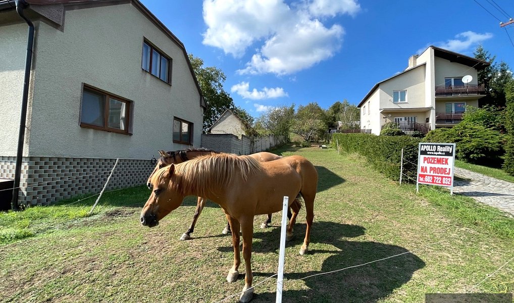 Prodej stavebního pozemku 1 279 m², Pašovice – náhled fotky 4