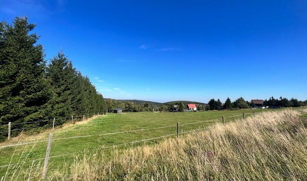 Prodej louky 8 082 m², Dubí – náhled fotky 4