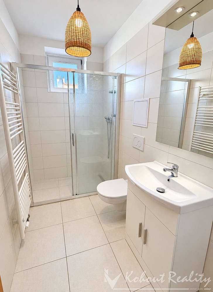 Pronájem bytu 1+1 50 m² – fotografie 3