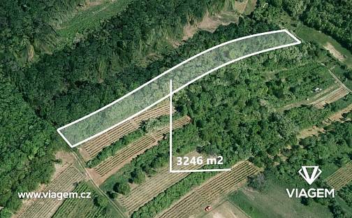 Prodej zahrady 2 840 m², Kobylí, okres Břeclav
