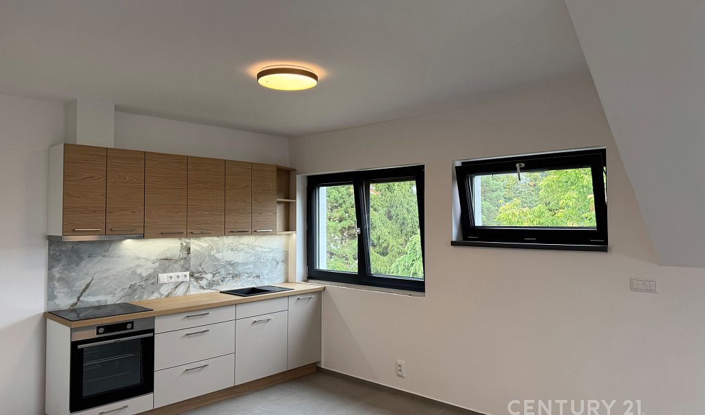 Pronájem bytu 3+kk 52 m², Bořanovice – náhled fotky 4