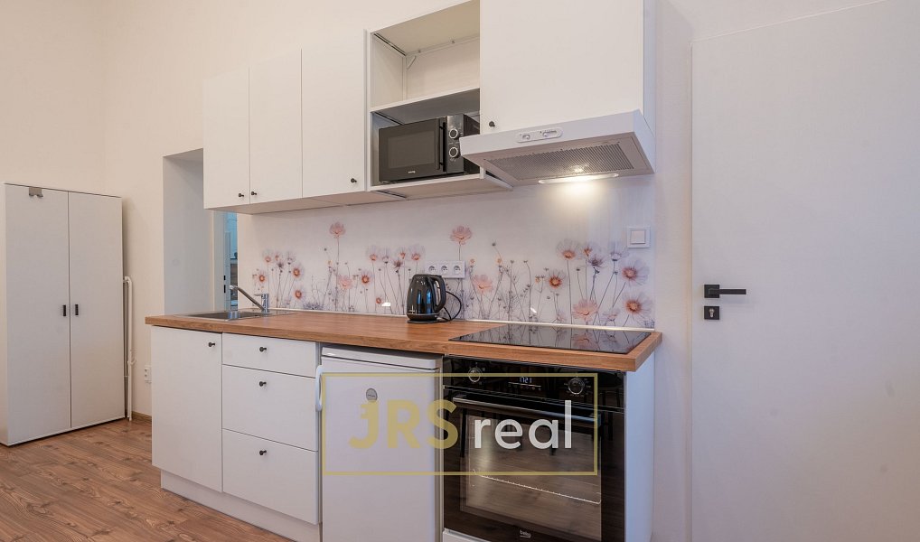Pronájem bytu 1+kk 30 m², Uherský Ostroh – náhled fotky 4