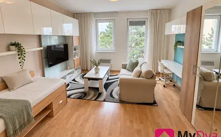 Pronájem bytu 1+1 40 m², náměstí Svobody, Znojmo
