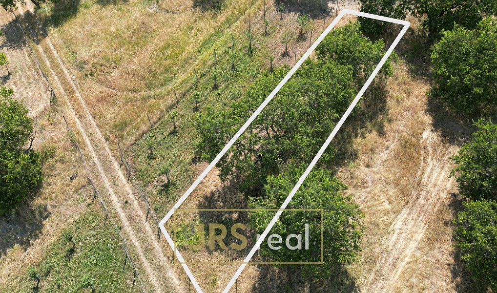Prodej pole 358 m², Němčičky – náhled fotky 2
