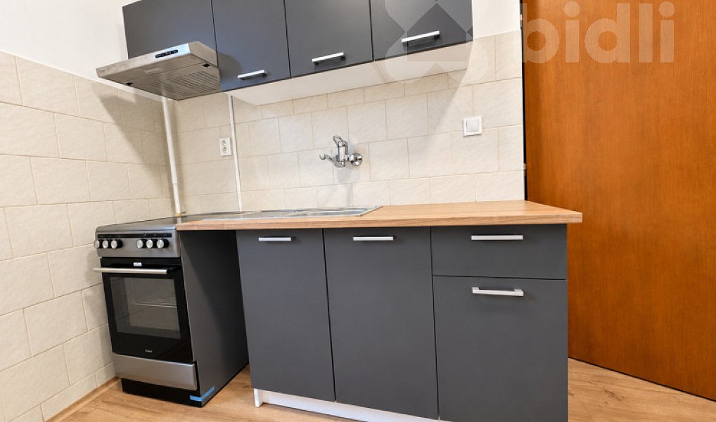 Pronájem bytu 1+1 44 m², Nový Bydžov – náhled fotky 4
