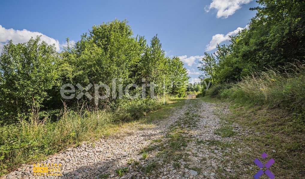 Prodej stavebního pozemku 5 708 m², Žítková – náhled fotky 19