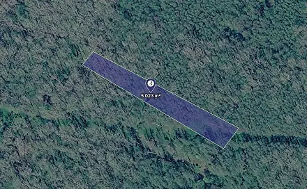 Prodej lesa 2 512 m², Kravaře, okres Opava