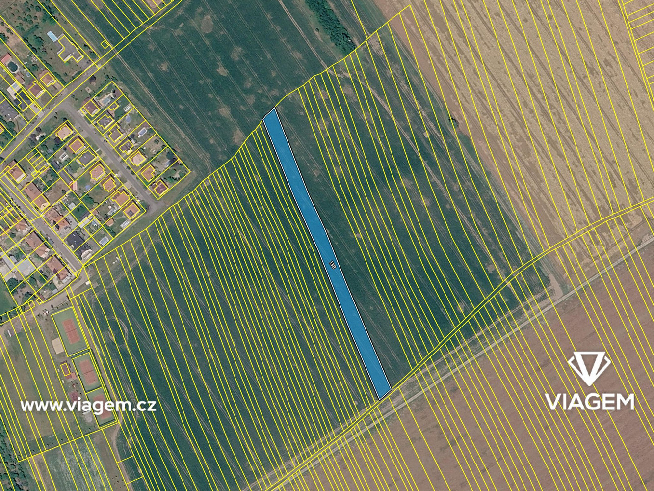 Prodej pole 4 337 m² — photo 4