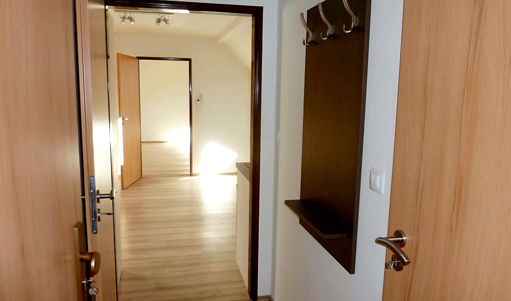 Prodej domu 300 m², Plzeň – náhled fotky 6