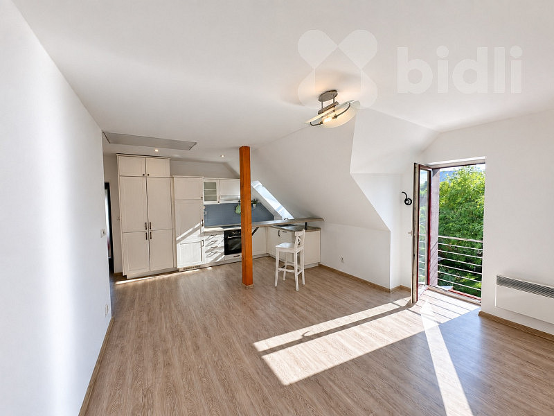 Pronájem bytu 2+kk 58 m²