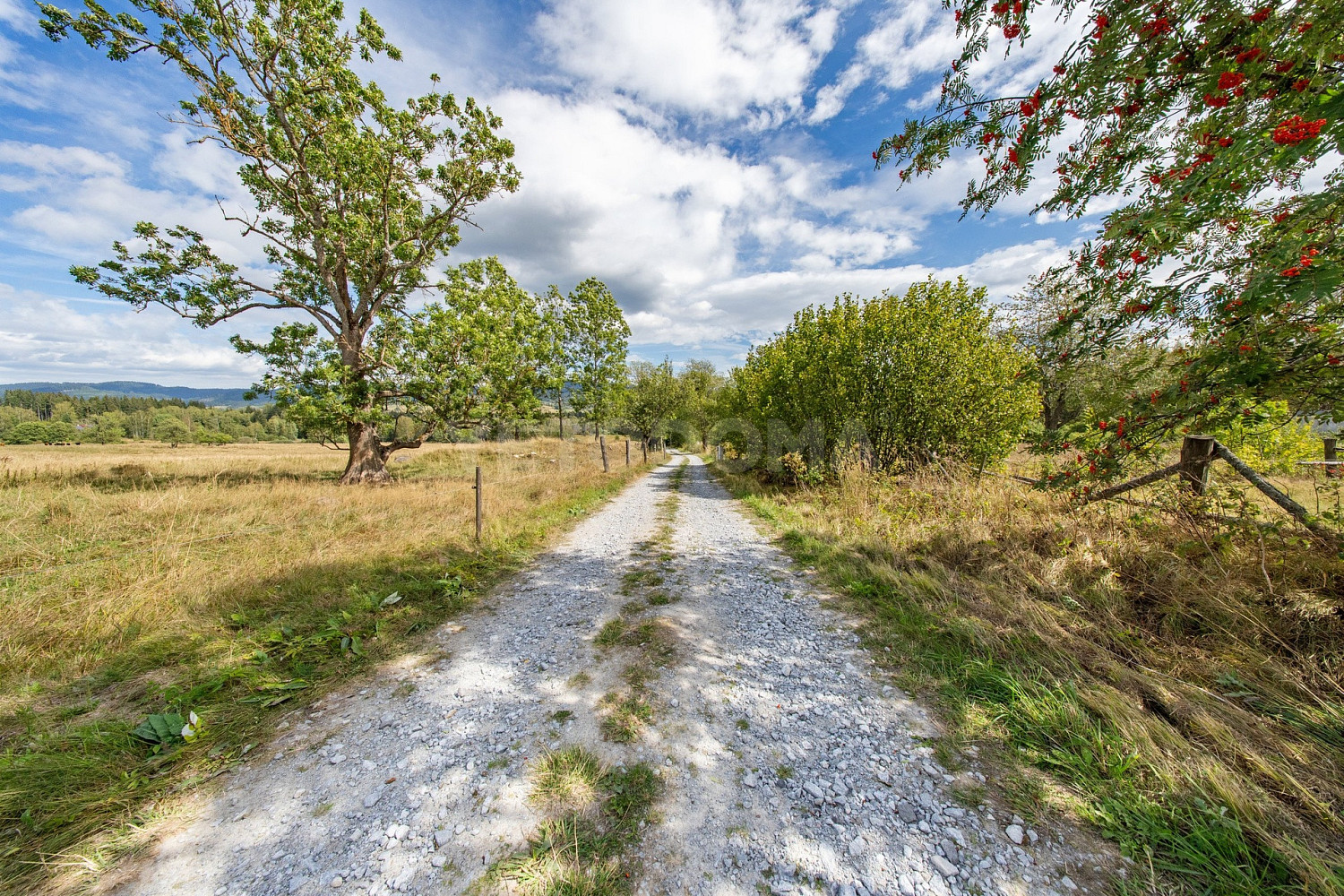 Prodej stavebního pozemku 2 451 m² – fotografie 5
