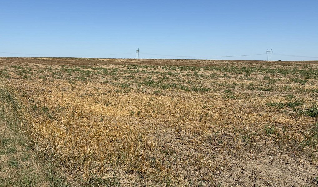 Prodej stavebního pozemku 8 572 m², Chroustovice – náhled fotky 13