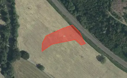 Prodej louky 3 176 m², Hynčina, okres Šumperk