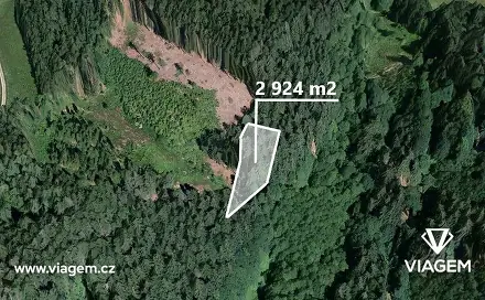 Prodej lesa 1 096 m², Jesenný, okres Semily